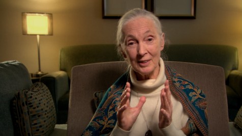 Surviving Progress - Jane Goodall