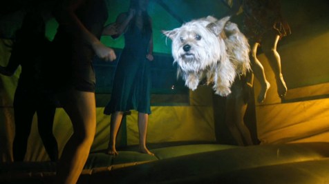 Project X - Hey, animal lovers, it even endorses animal abuse!