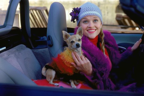Legally Blonde - Elle & Bruiser Woods