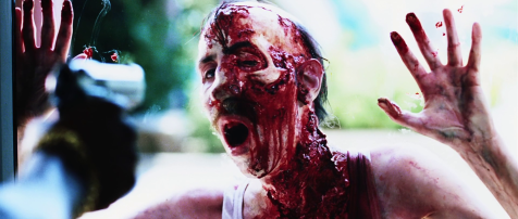 Dawn of the Dead (2004) - Zombie