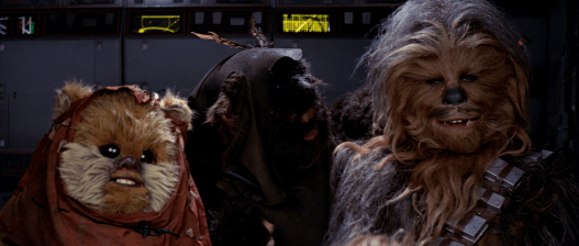 Star Wars Episode VI - Ewoks, Chewbacca