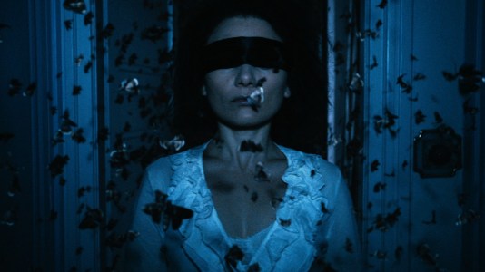 The Duke of Burgundy - Butterflies and blindfold