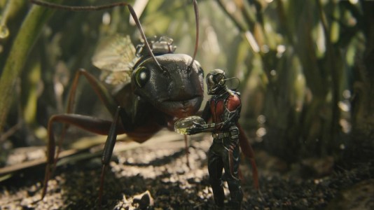 Ant-Man - Antony, Paul Rudd
