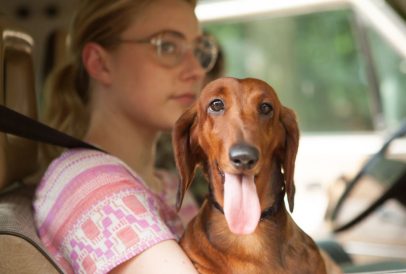 Wiener-Dog - Greta Gerwig